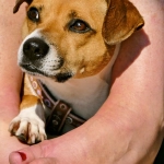 Программы лояльности казино без депозита для новичков