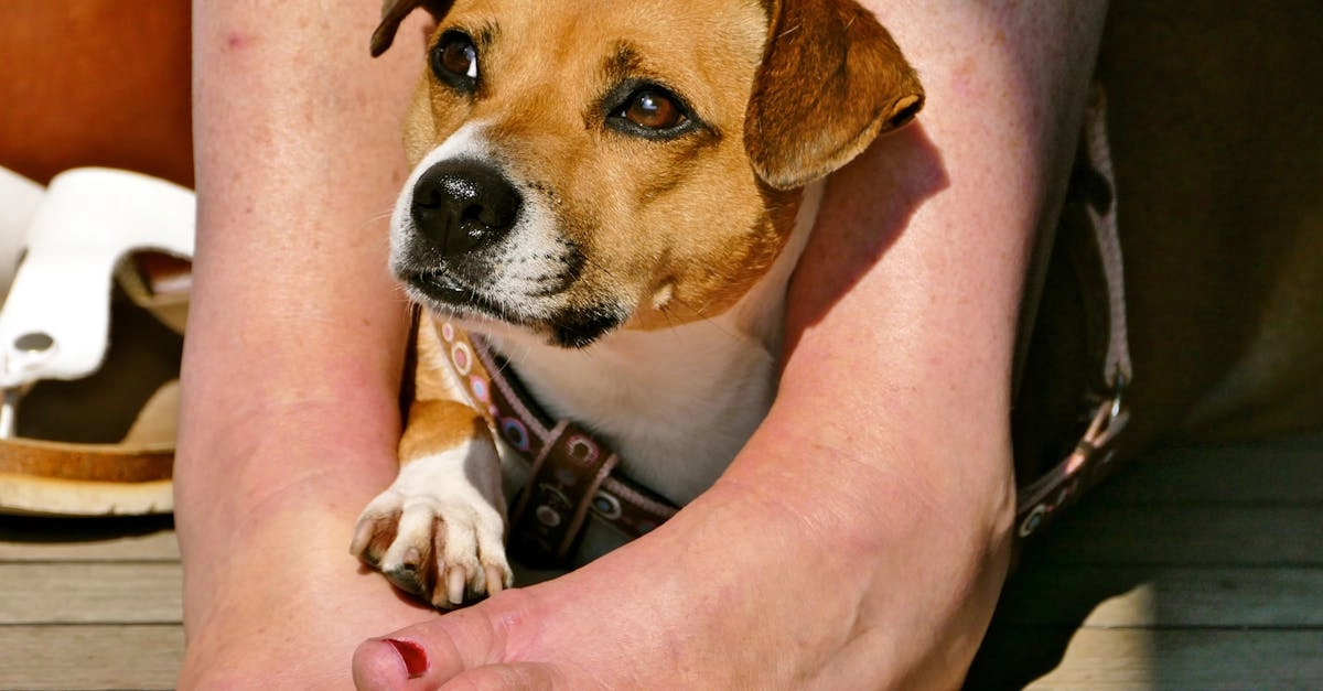 Программы лояльности казино без депозита для новичков