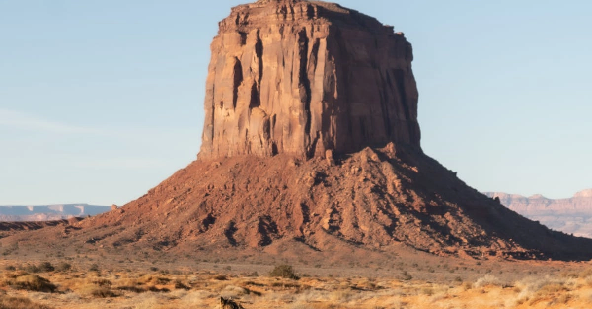 Игровые барабаны слота Wild West Gold Megaways с ковбойской тематикой